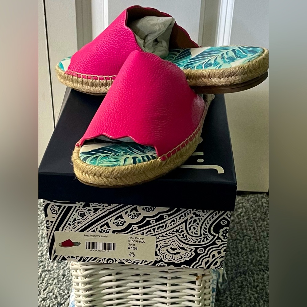 JMcLaughlin Aries slide Size 9.5M